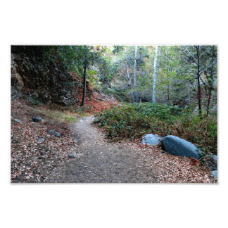Bear Canyon Campground Photo Print
