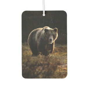 Bear Car Air Freshener