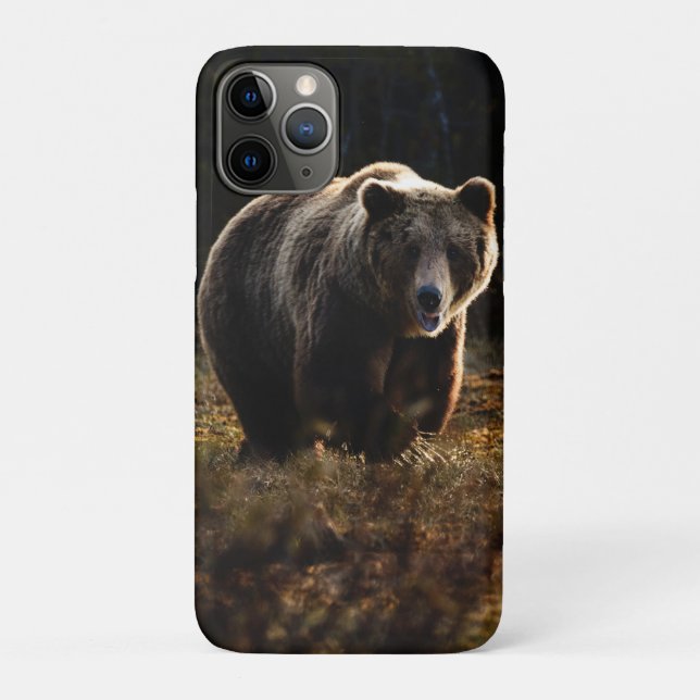 Bear Case-Mate iPhone Case (Back)