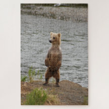 Bear closeup, Brooks Falls Alaska 