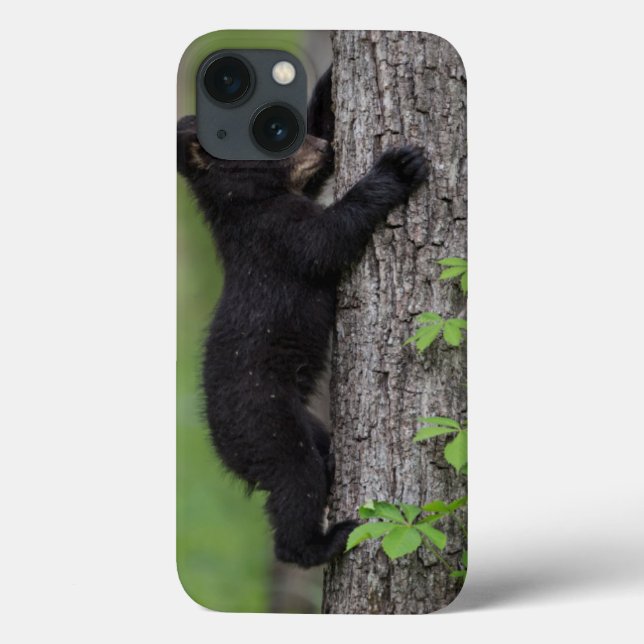 Bear Cub Climbing a Tree Case-Mate iPhone Case (Back)