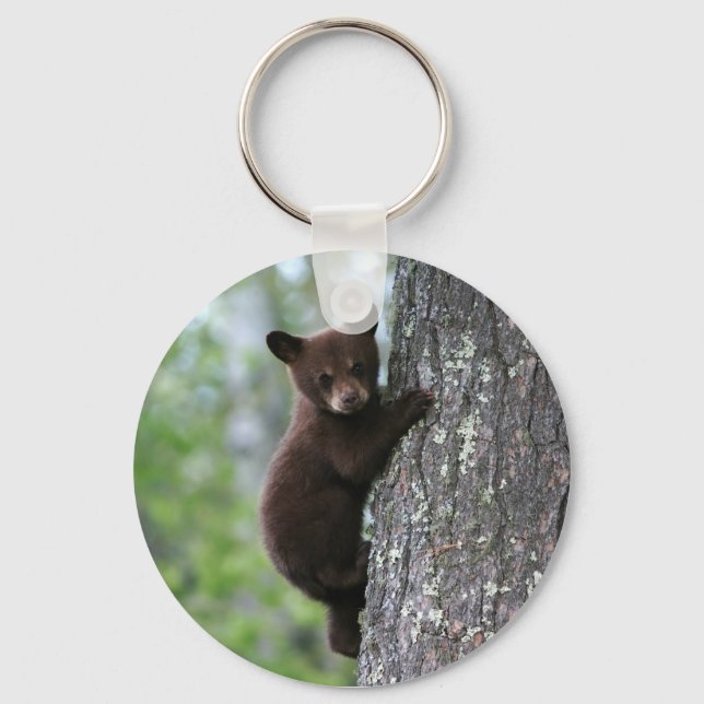 Bear Cub Climbing a Tree Key Ring (Front)