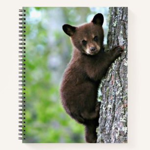 Bear Cub Climbing a Tree, Notebook