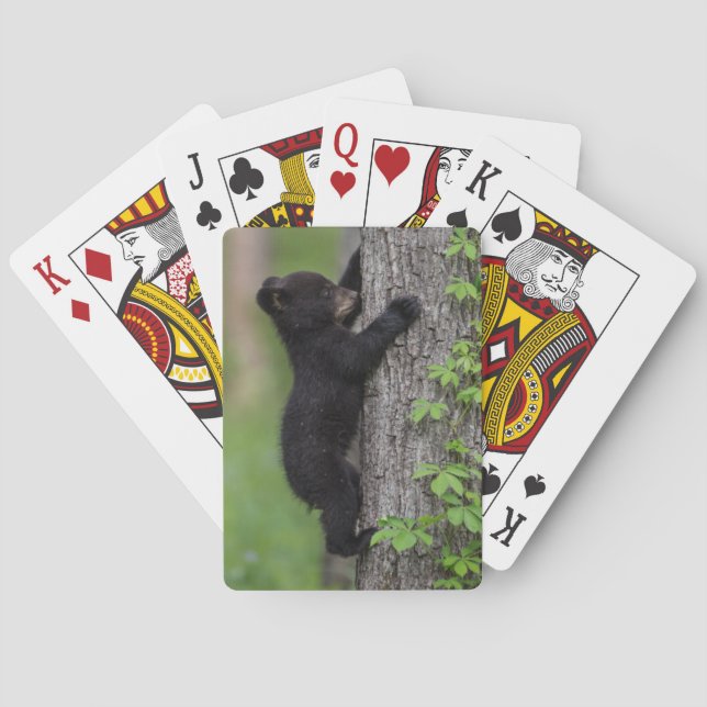 Bear Cub Climbing a Tree Playing Cards (Back)