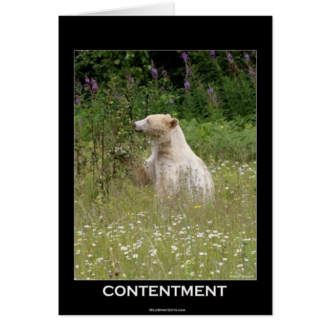 Bear Design for Animal and Wildlife-Supporters (Front)