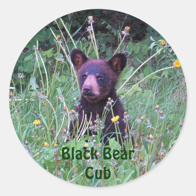 Bear Design for Animal and Wildlife-Supporters Classic Round Sticker (Front)