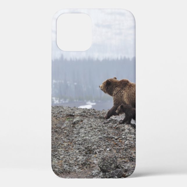 BEAR FAMILY IN YELLOWSTONE Case-Mate iPhone CASE (Back)