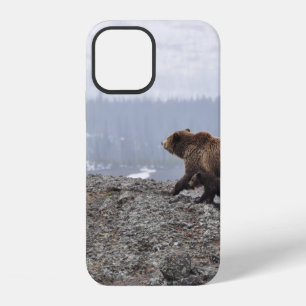 BEAR FAMILY IN YELLOWSTONE iPhone 12 CASE