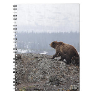 BEAR FAMILY IN YELLOWSTONE NOTEBOOK