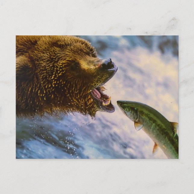 BEAR FISH WILD ANIMAL POSTCROSSING POSTCARD (Front)
