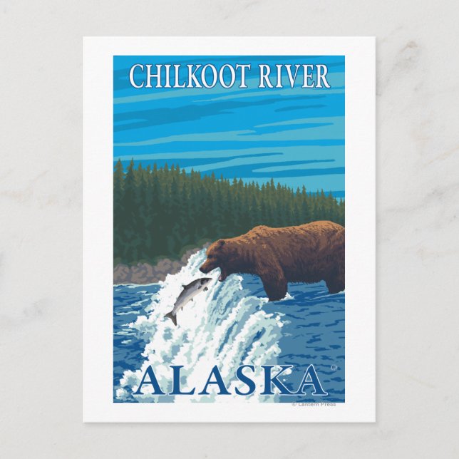 Bear Fishing in River - Chilkoot River, Alaska Postcard (Front)