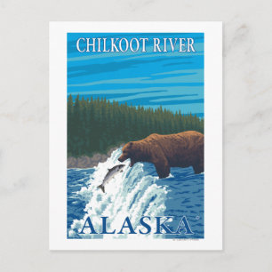 Bear Fishing in River - Chilkoot River, Alaska Postcard