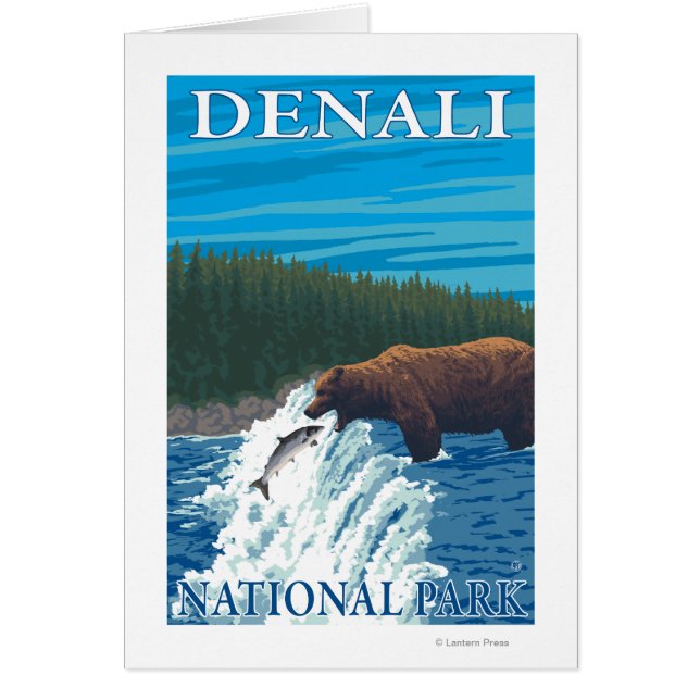 Bear Fishing in River - Denali National Park, (Front)