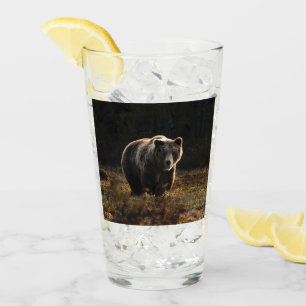 Bear Glass