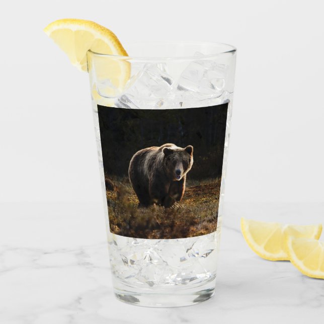 Bear Glass (Front Ice)