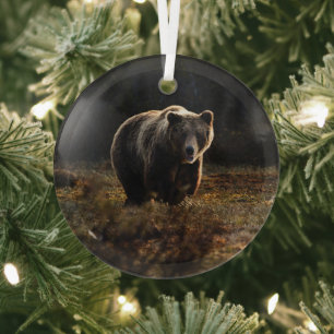 Bear Glass Tree Decoration