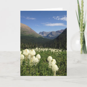 Bear Grass Glacier National Park Card