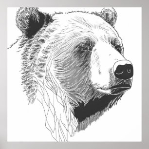 Bear Grizzly Wild Nature Animal Illustration Art Poster