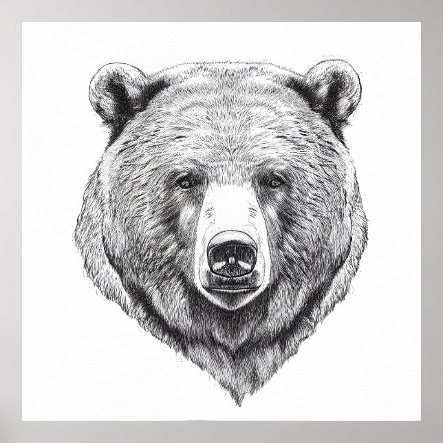 Bear Grizzly Wild Nature Animal Illustration Art Poster (Front)