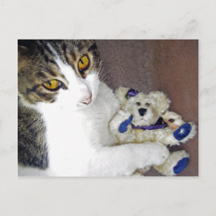 Bear Hug Postcard