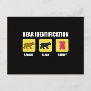 Bear Identification Funny Postcard
