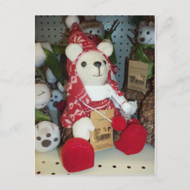 Bear In A Stocking Cap Postcard (Front)