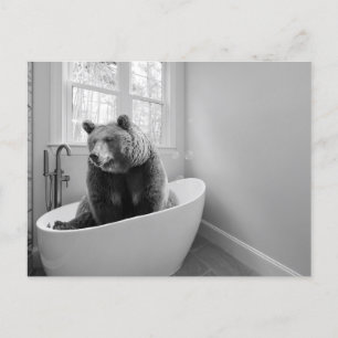 Bear  in Bathtub Bubble bath   Postcard