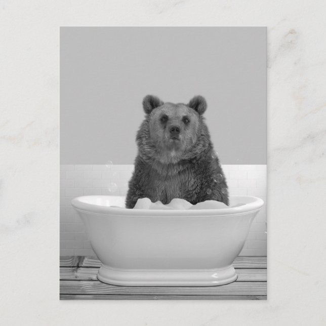 Bear  in Bathtub Bubble bath   Postcard (Front)