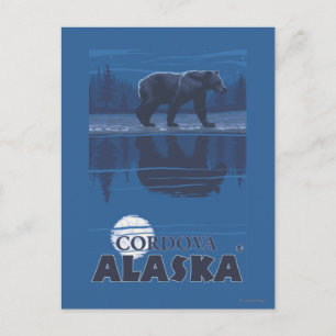Bear in Moonlight - Cordova, Alaska Postcard
