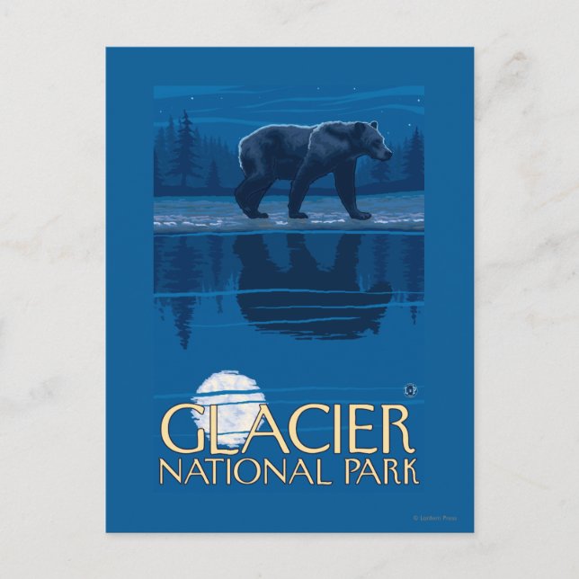 Bear in Moonlight - Glacier National Park, MT Postcard (Front)