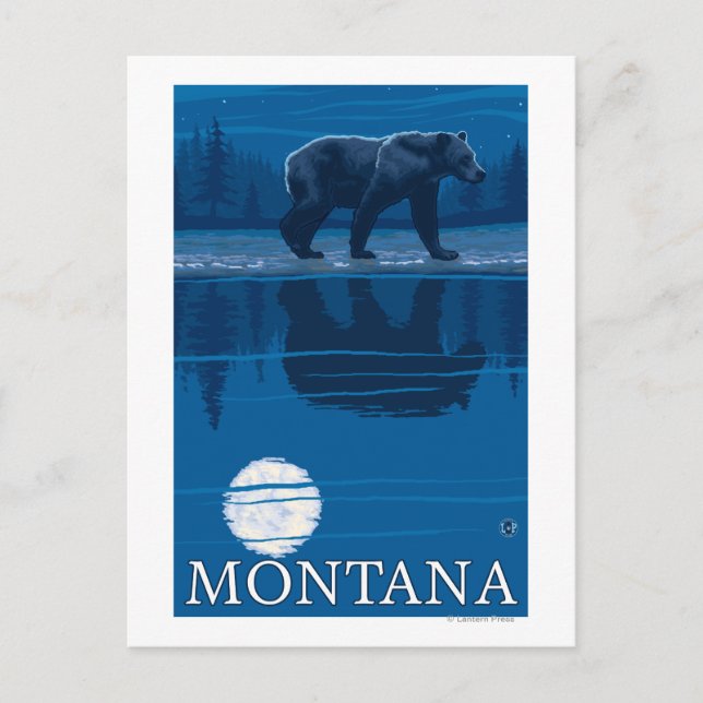 Bear in Moonlight - Montana Postcard (Front)