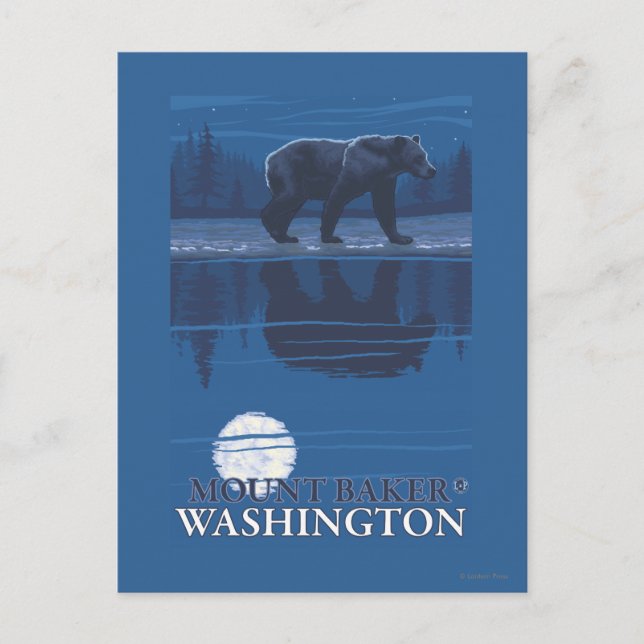Bear in Moonlight - Mount Baker, Washington Postcard (Front)