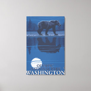 Bear in Moonlight - Olympic National Park, WA Canvas Print