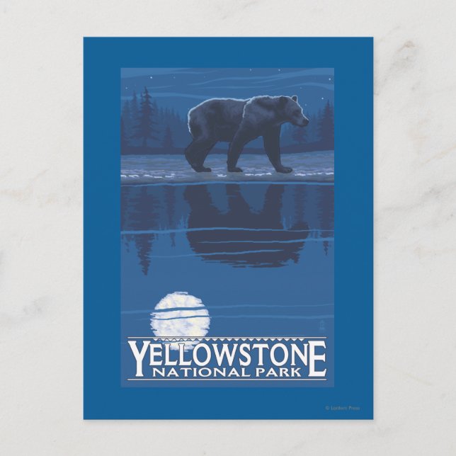 Bear in Moonlight - Yellowstone National Park Postcard (Front)