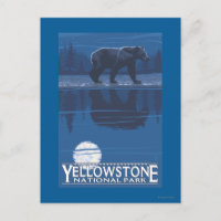 Bear in Moonlight - Yellowstone National Park