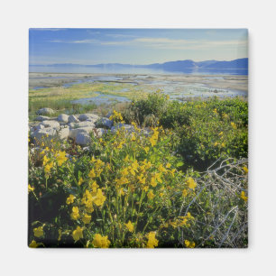 BEAR LAKE, UT, US, monkey-flower & tumbleweed, Magnet