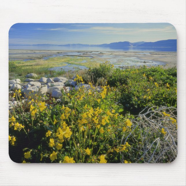 BEAR LAKE, UT, US, monkey-flower & tumbleweed, Mouse Pad (Front)