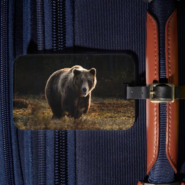 Bear Luggage Tag (Front Insitu 4)