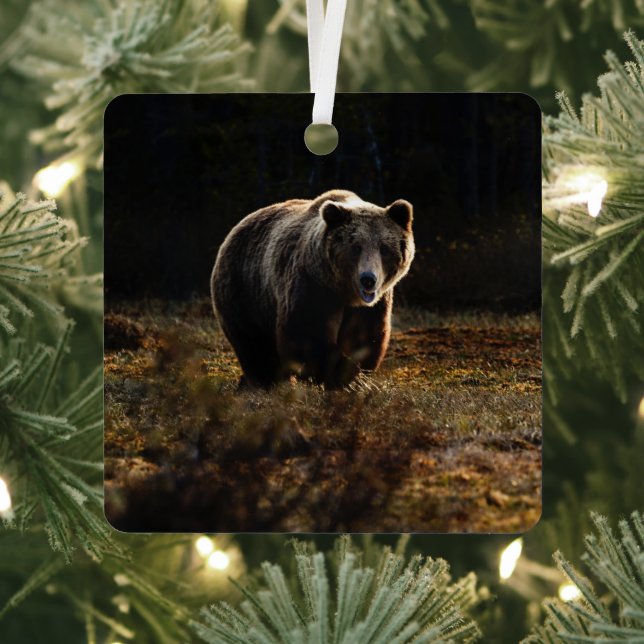 Bear Metal Tree Decoration (Insitu)
