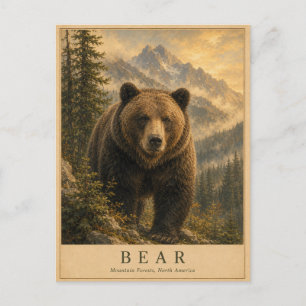 Bear Mountain Forests VINTAGE Postcard