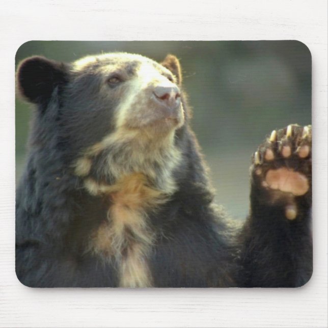 bear mouse pad (Front)