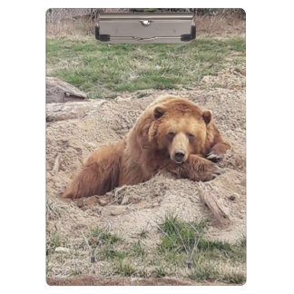 Bear Nap Clipboard