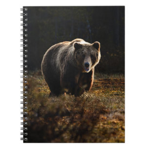 Bear Notebook
