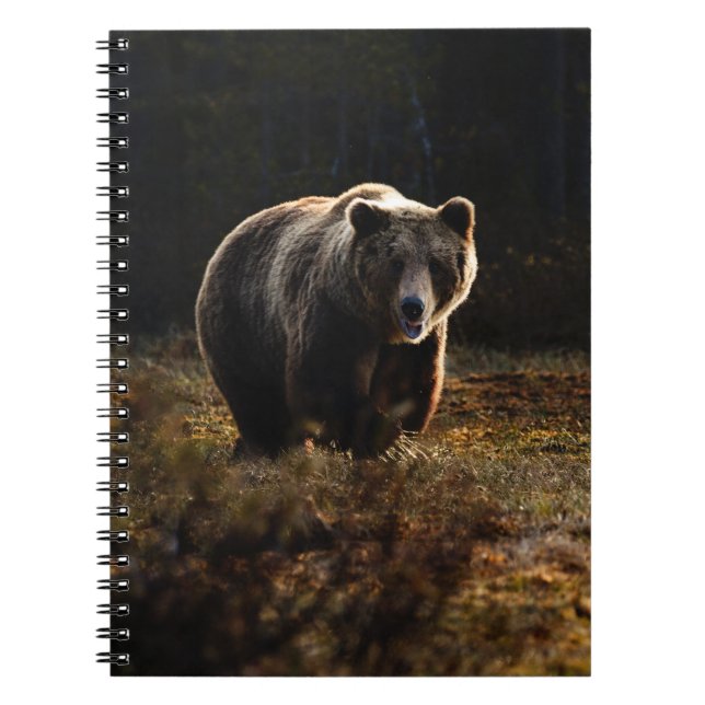 Bear Notebook (Front)