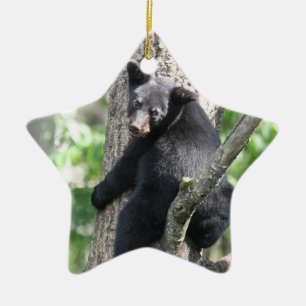 bear ornament