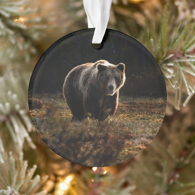 Bear Ornament (Tree)