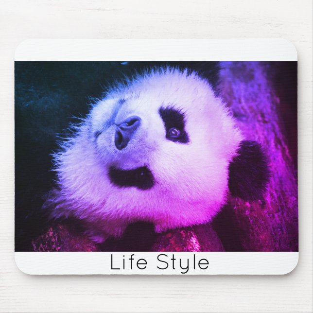 Bear Panda Life Style Trendi Mouse Carpet Pad (Front)