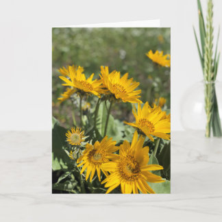 Bear Paw Mountains Card