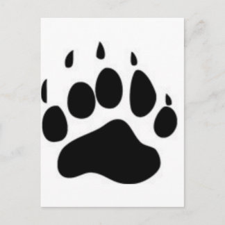 Bear Paw Print Postcard