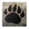 BEAR PAW PRINT